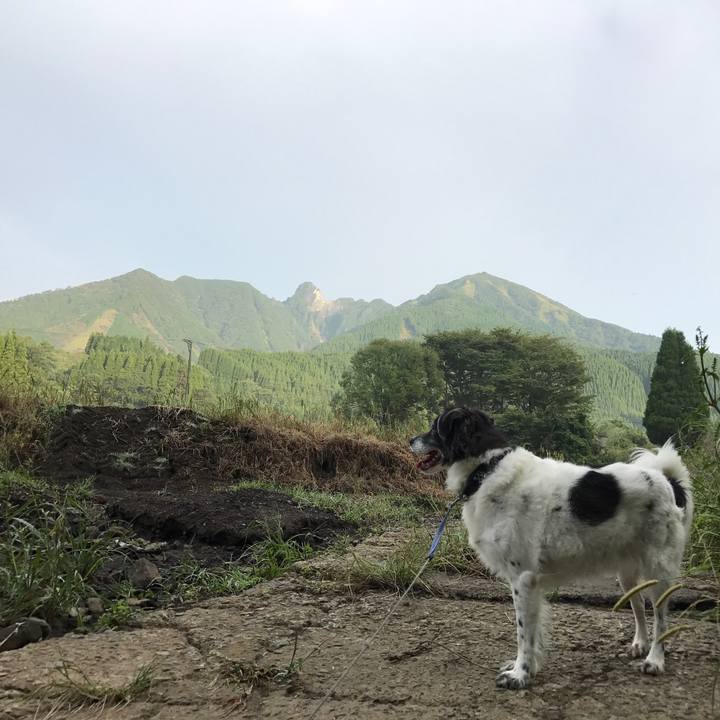 C6544a47 175c 451a 95b2 ec56a1b19d73