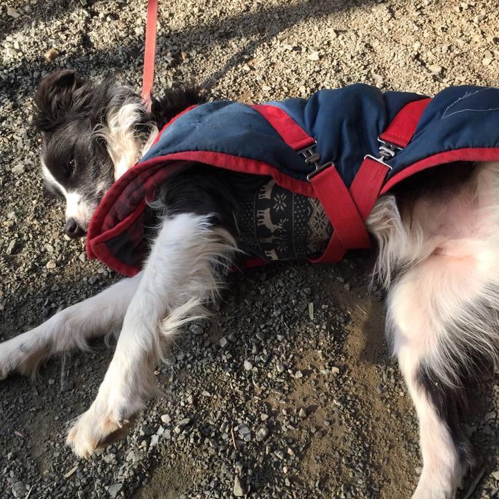 C654bcac bade 45d1 a872 63251a0ab2d2