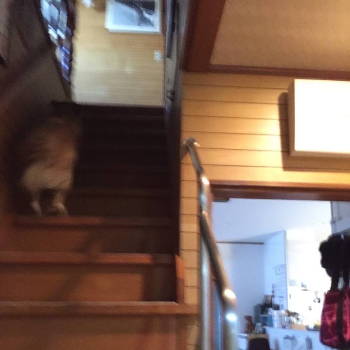 C6556535 e792 4f40 a451 2560fd81585a