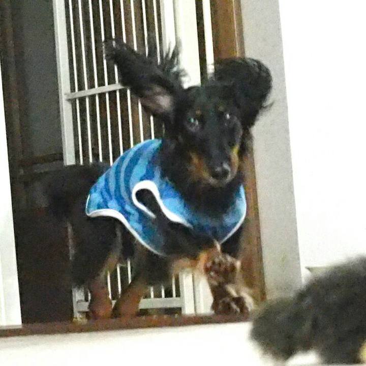 C6560d33 3e9d 4ee8 b447 c44bf0526a4c