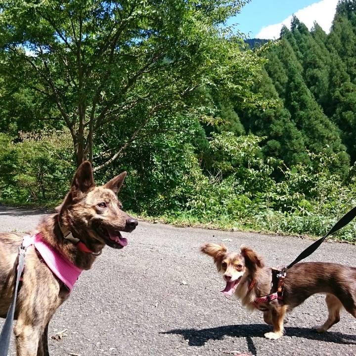 C6567bdd 6da8 434c 8760 e8476e2a4467