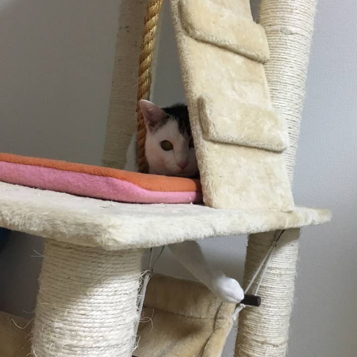 C656bdf5 702f 4f36 a7ea 1091f0c86599