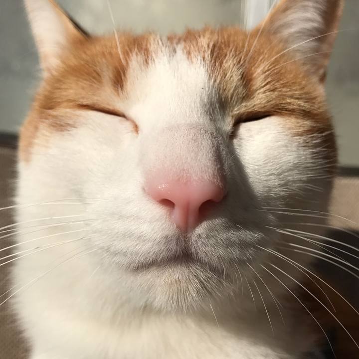 C656cca0 5c5c 4393 91fc 4ea535c2e9fa