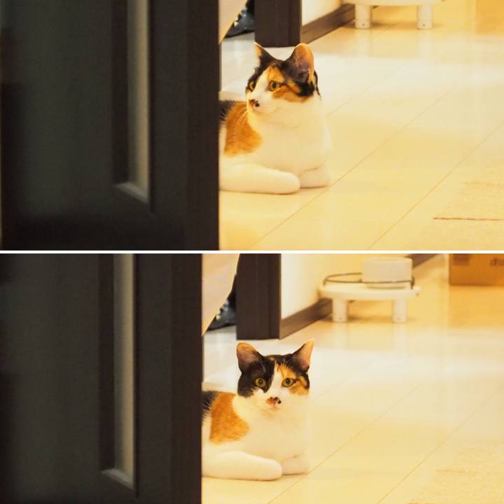 C6572cd5 0e0a 4db2 b764 031575c1d29f