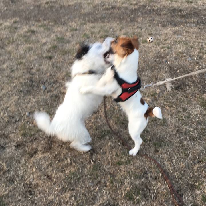 C657d5dd 9885 4f91 8fad 249b386acf36