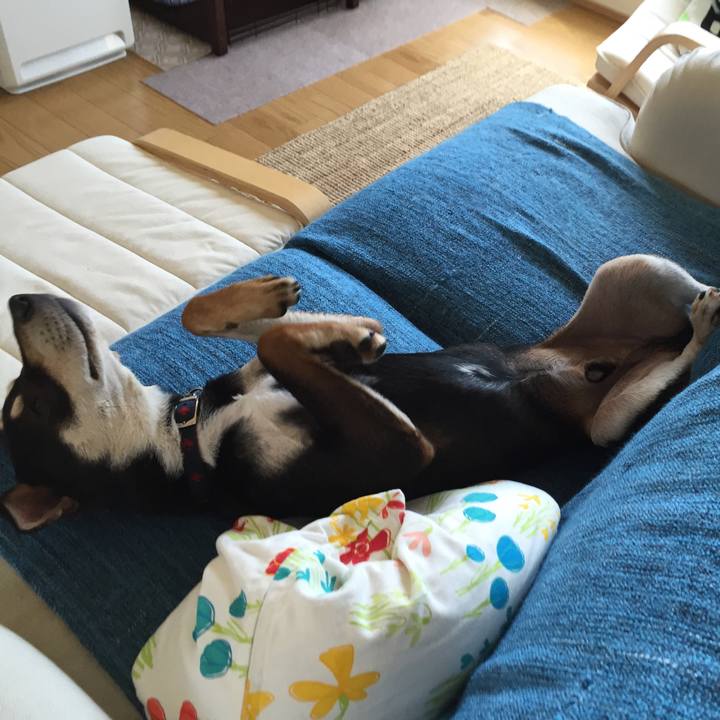 C65804a3 55e9 447f b049 0444cb91557d