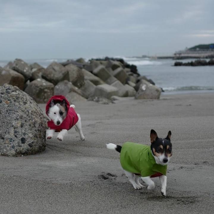 C65815f5 9aac 4cf5 a200 db790be33872