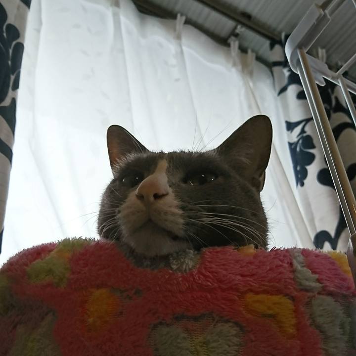 C6581c76 02bf 41e8 ab12 cd2a10cd30c3