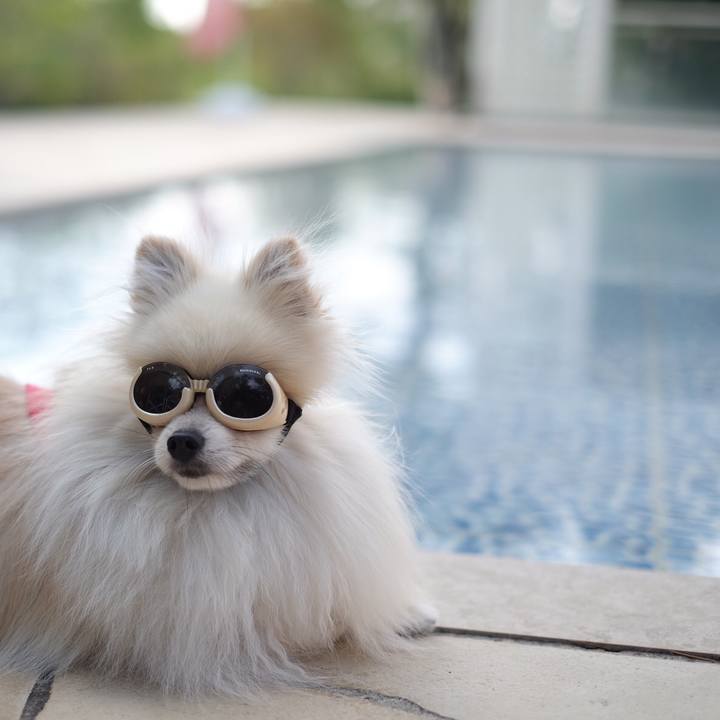 C6582398 6819 4ab2 8e05 f0e32e6d80c5