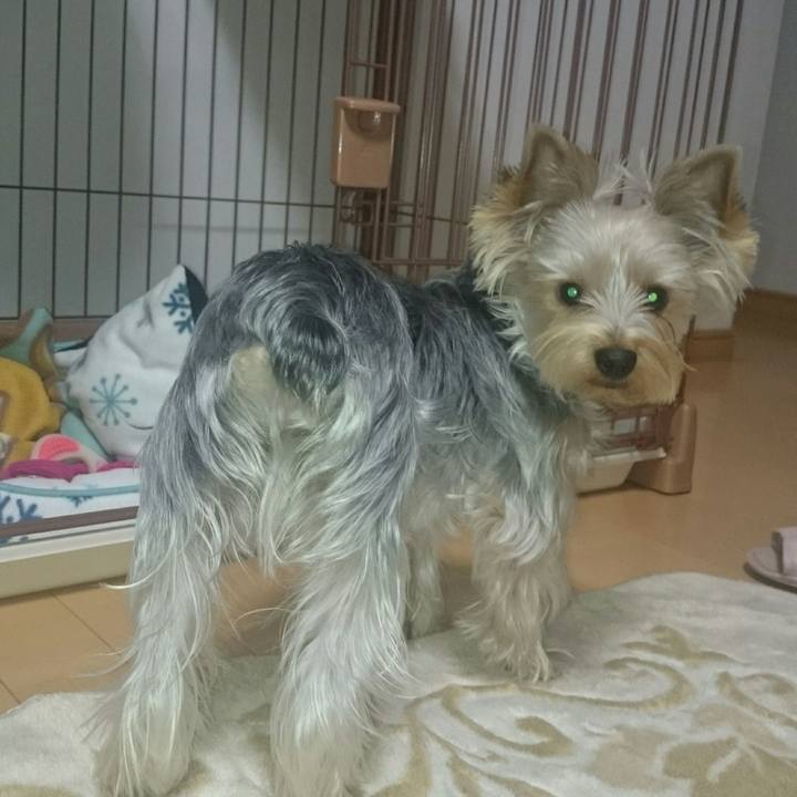 C6584781 0915 4b49 ae8e 49d2c402ce13