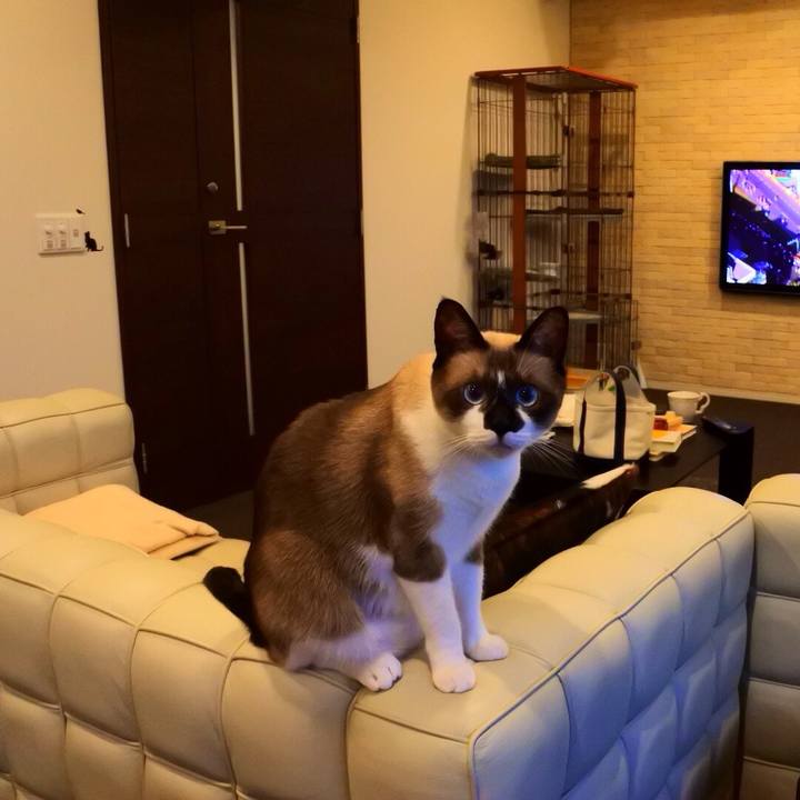 C658563e d248 40f1 a159 c98c3177b46c