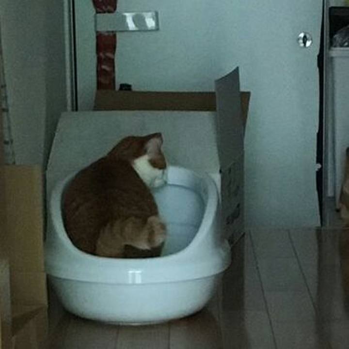 C6586844 b4c8 4aea a9d9 b7019f53c7fb