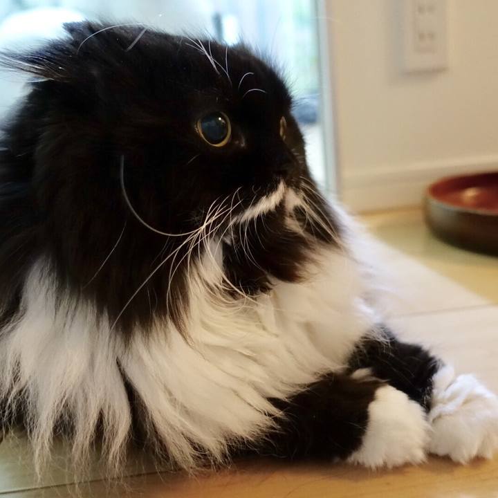 C658e27f 0684 45ab 9015 8afc6328c3d1