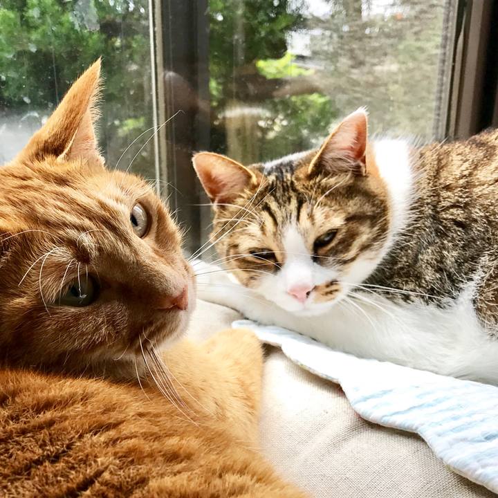 C658fb32 a6ec 47c3 b28a 8f940d51950f