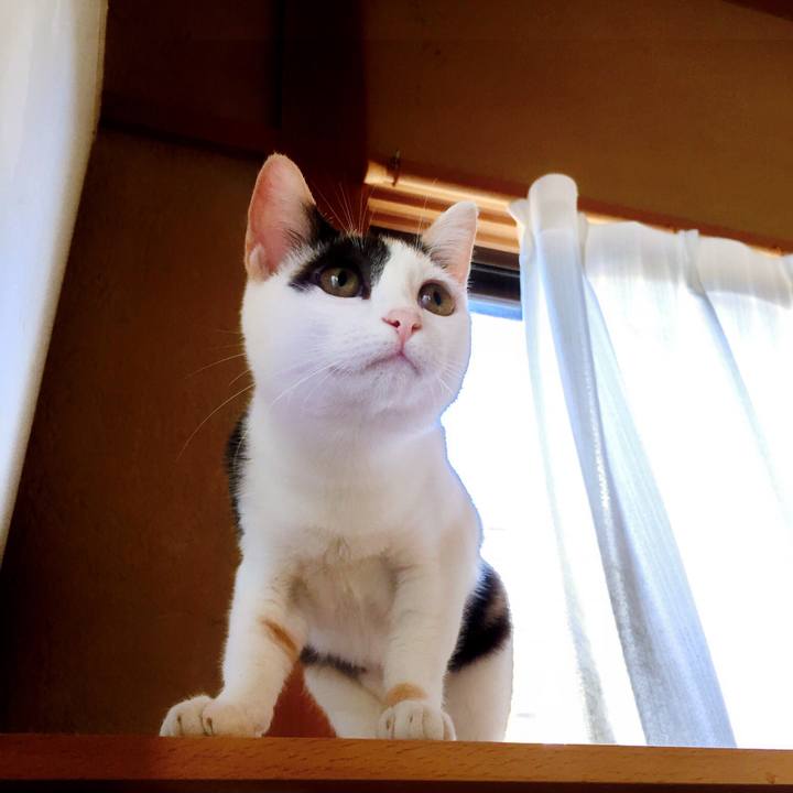 C65a6b8e a95f 4d8f ba37 51f8326a84db