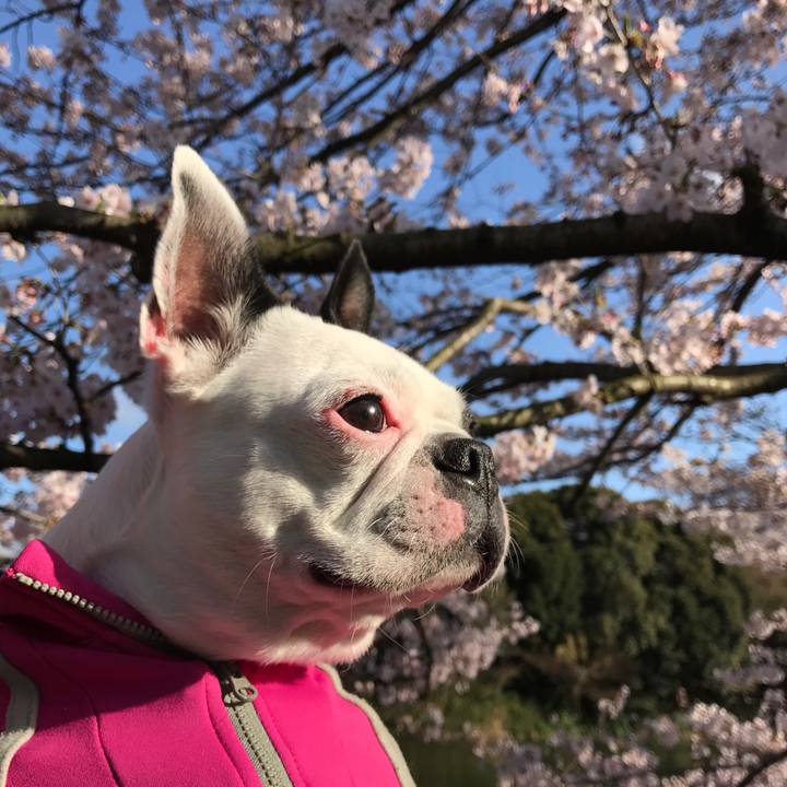 C65a7882 0cef 4ebc baf1 979ff04433f1