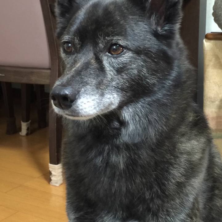 C65adbca 375b 430b 90b7 3d63cb3ad45a