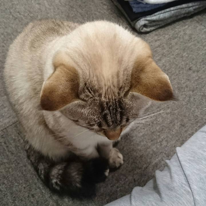 C65cc5fd 948e 43f1 854c f6269b57404a