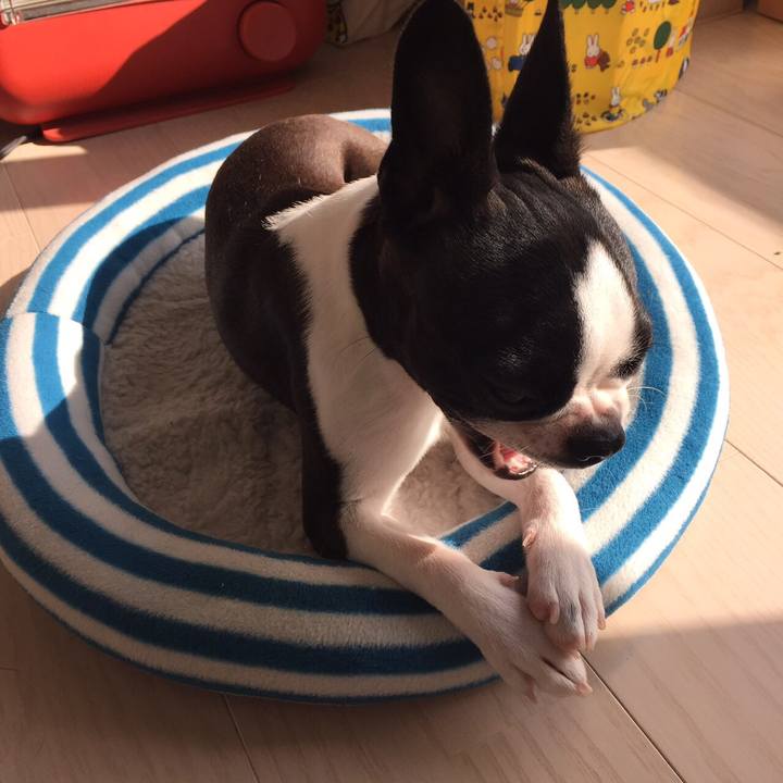 C65cf917 5add 4c36 ab24 e51e5067d5a6