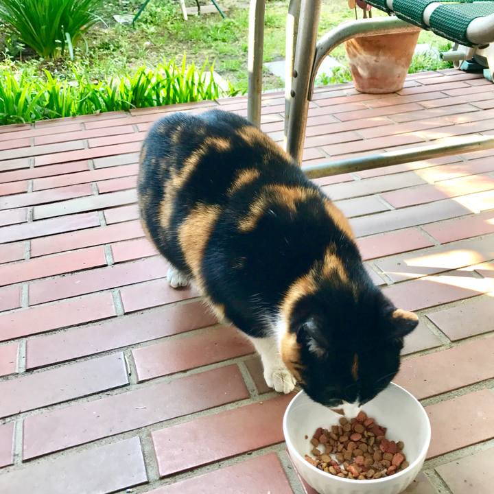 C65d055c 8865 4411 9de1 1e00e4eb8de8