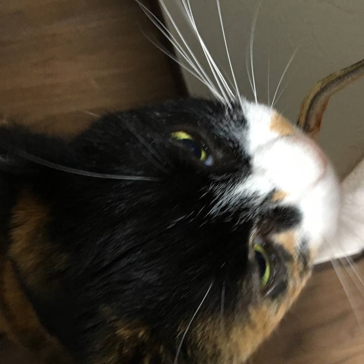 C65d72d0 1948 4820 865b 481f9f5d0b65