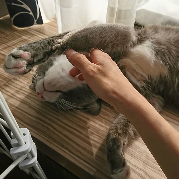 C65dd418 0782 4093 972d 6d1286667cd1