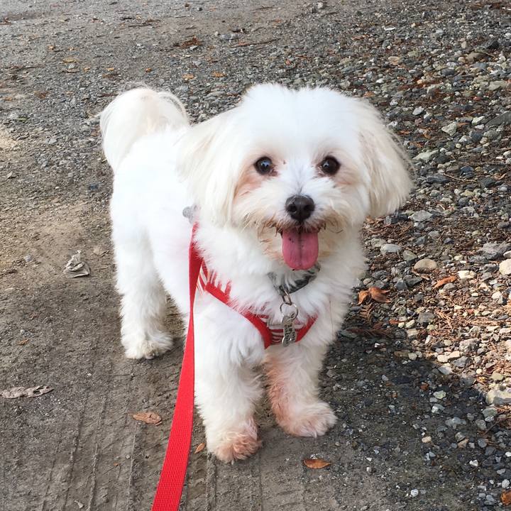 C65e43b9 8036 476a b55e ece828dafbe5