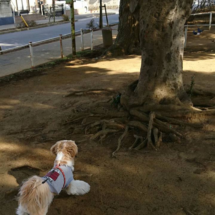 C65e4ecc da86 480d babe 24a6c502c98e