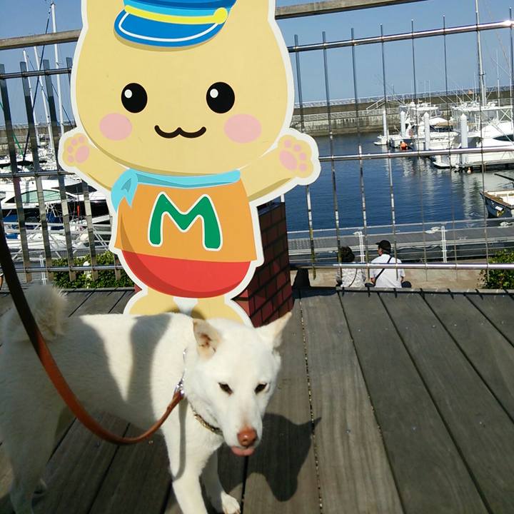 C65e6225 589b 4440 948c 42dec6419cb0