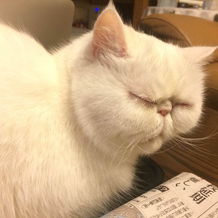 C65e91c6 ef0e 4be4 a011 0057e49d1ae3