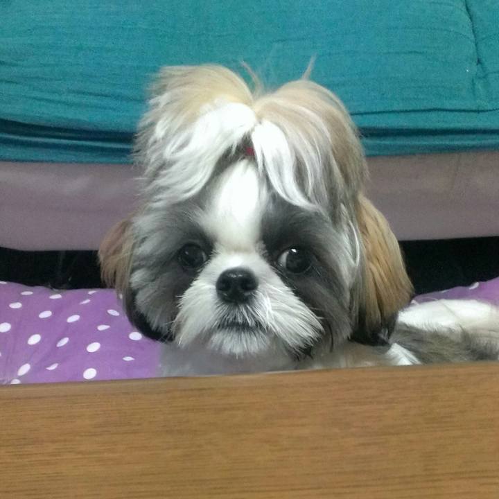 C65ec138 2582 4473 ba1b 687e76224e68