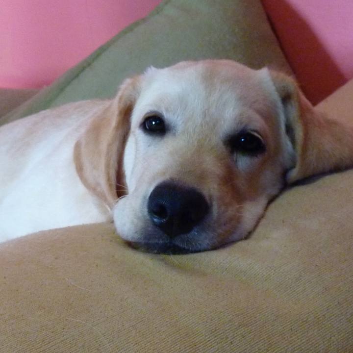 C65ec1de 6925 41e0 8144 09d4e6081c0c