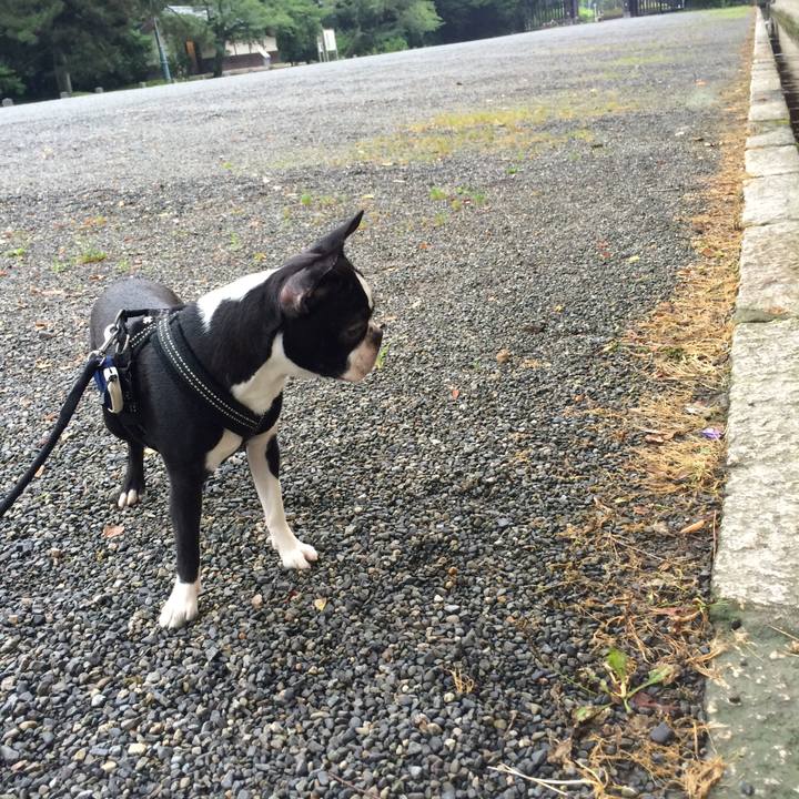 C65ef1d0 cb24 4f30 99ea 11592c420c04