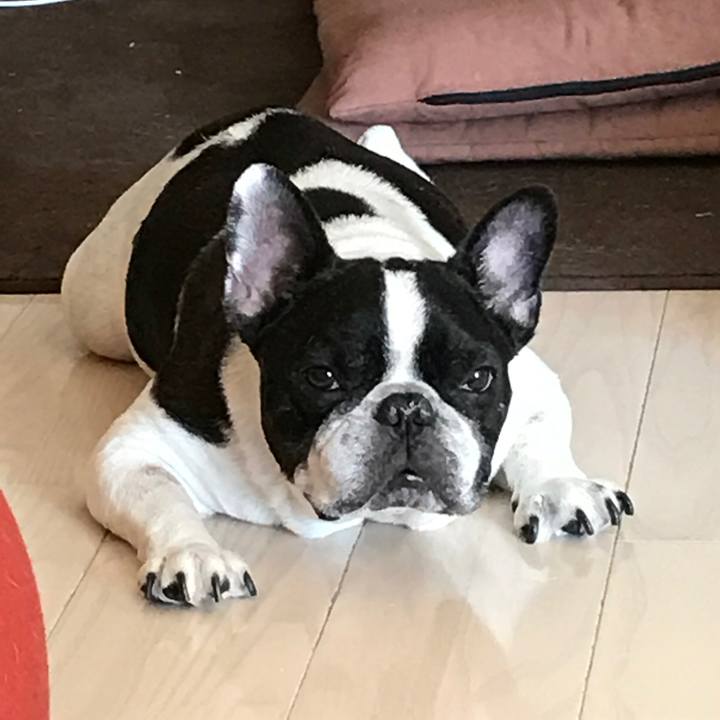 C65f4793 76a3 4dfc a3f2 bc5f2079cea6