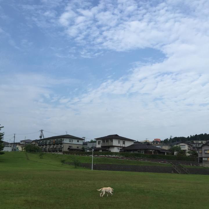 C65f9fc1 34d5 40eb bafd c58e4f74175d