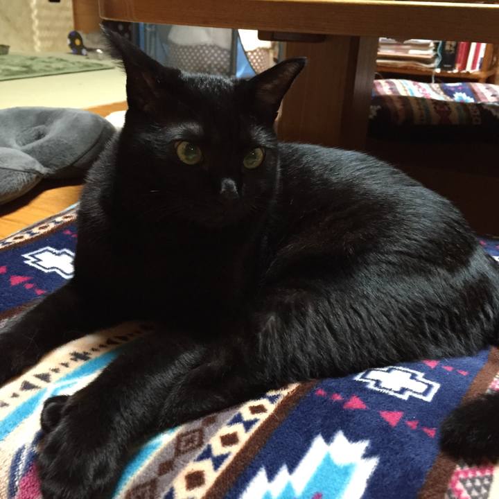 C65fcc29 5432 474f 8891 826ca7f7c055