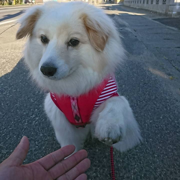 C6607ad8 68c4 404b b72e d8f12a80869e