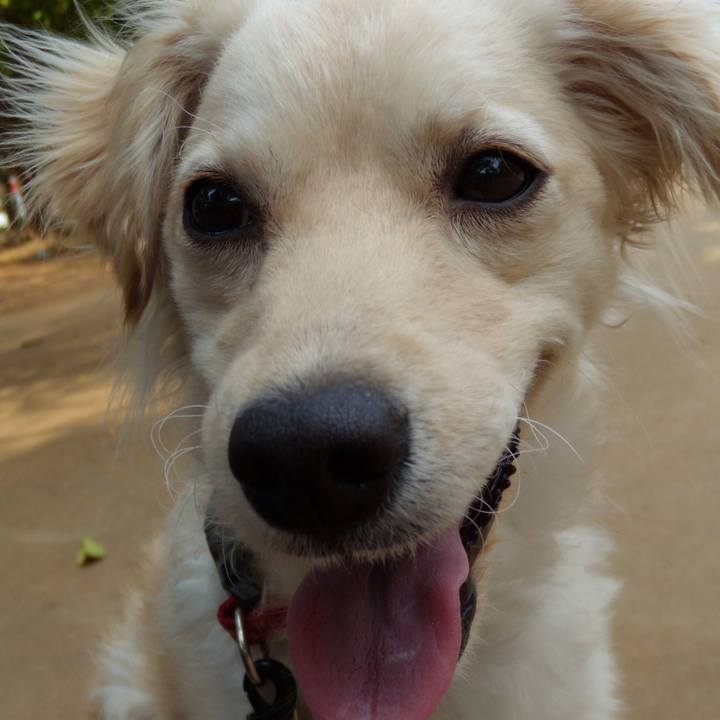 C66084b4 5fdf 410e 943f 5b8622e0b661