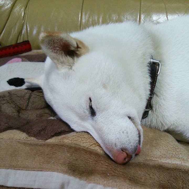 C6609477 7b0f 4ee3 a922 878db45401f5