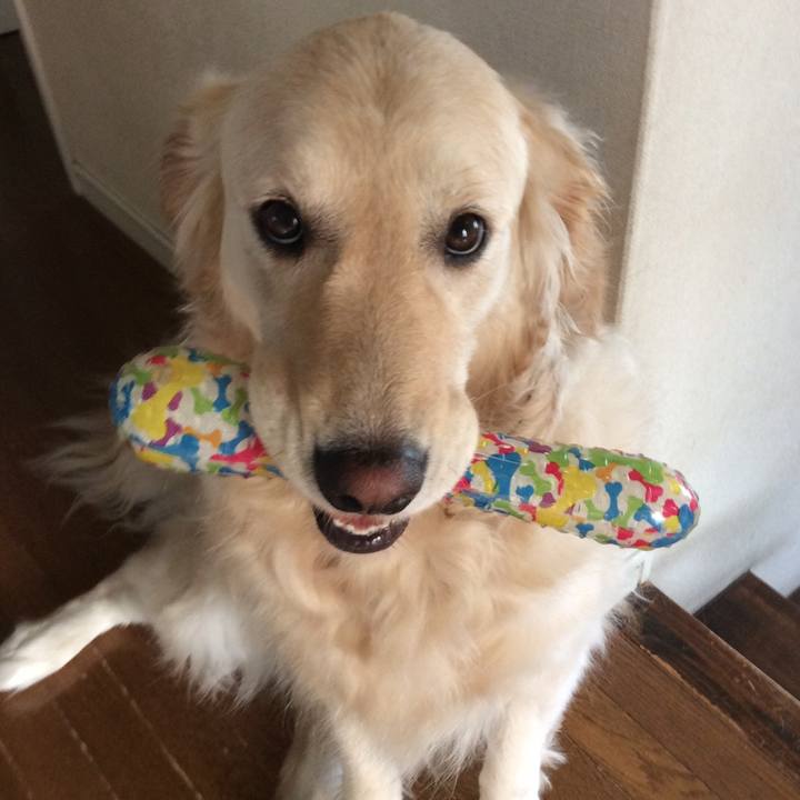 C6609ac4 c46e 4313 80f7 60a8d364644f