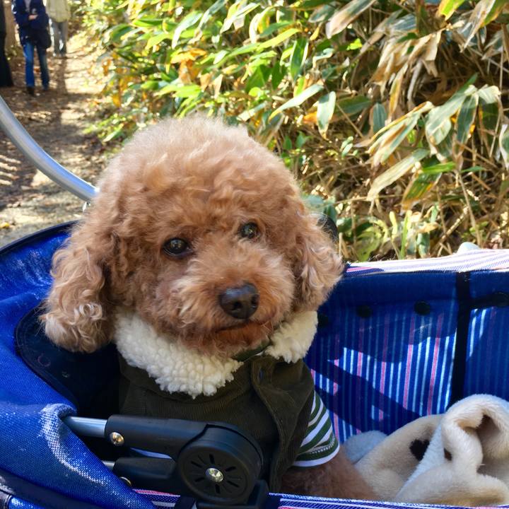 C660bef6 c8e9 4ff9 a408 cccb5e678219