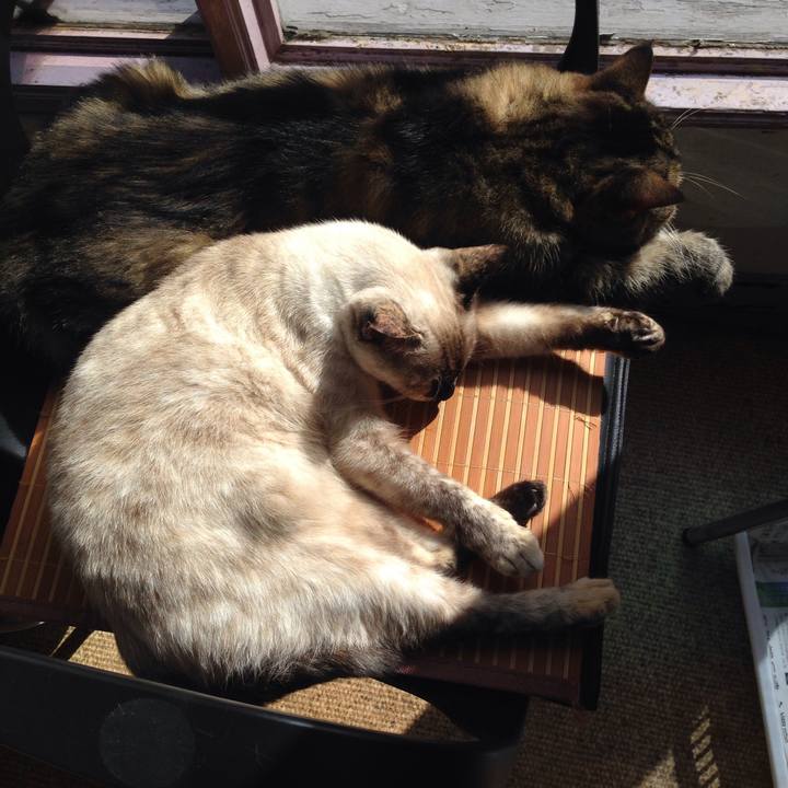 C660cbcf a66d 4ea8 b4a8 2cecddf78fcf