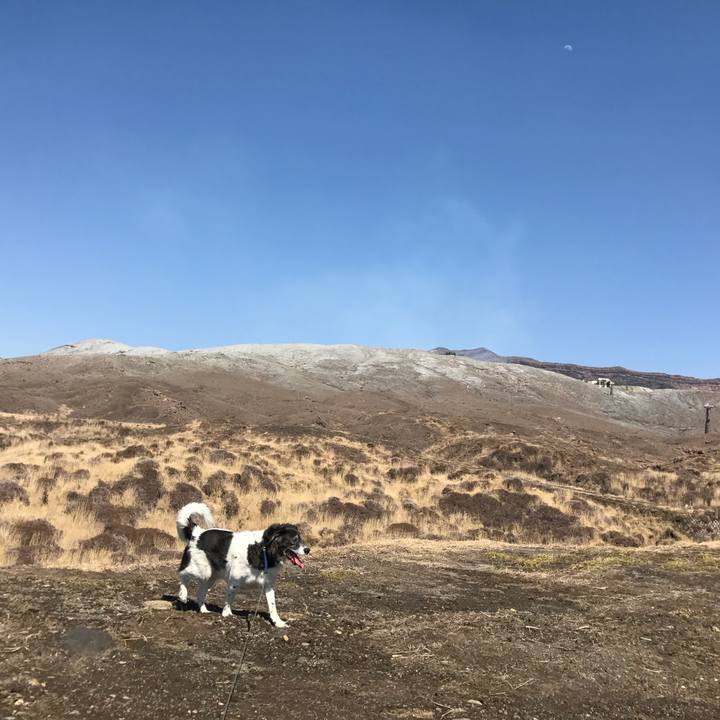 C660d2f9 ce56 4341 b23b 8479911b5e72