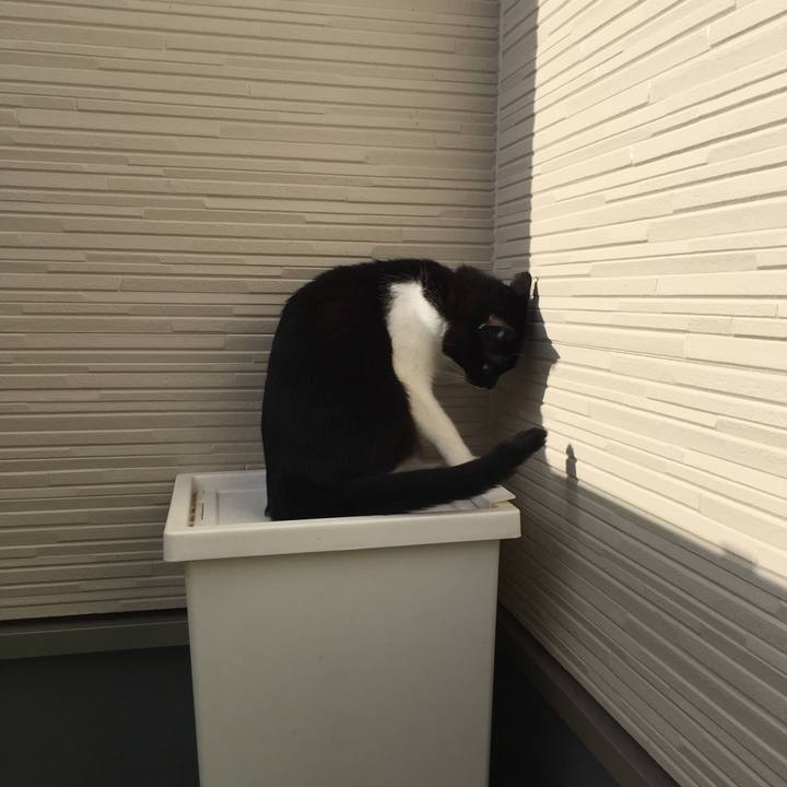 C6610e46 4aee 42b5 afc3 5fa7f8ccfc82