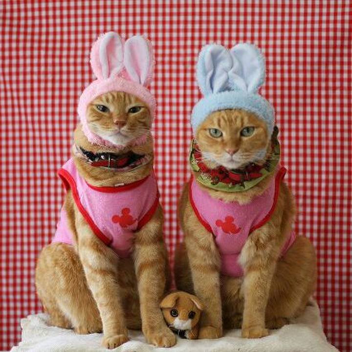 C66122e7 2327 49d1 89f5 211d63635fc0