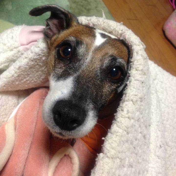 C6616b3b 60c0 4f7a 8bf5 d33e77c7c262