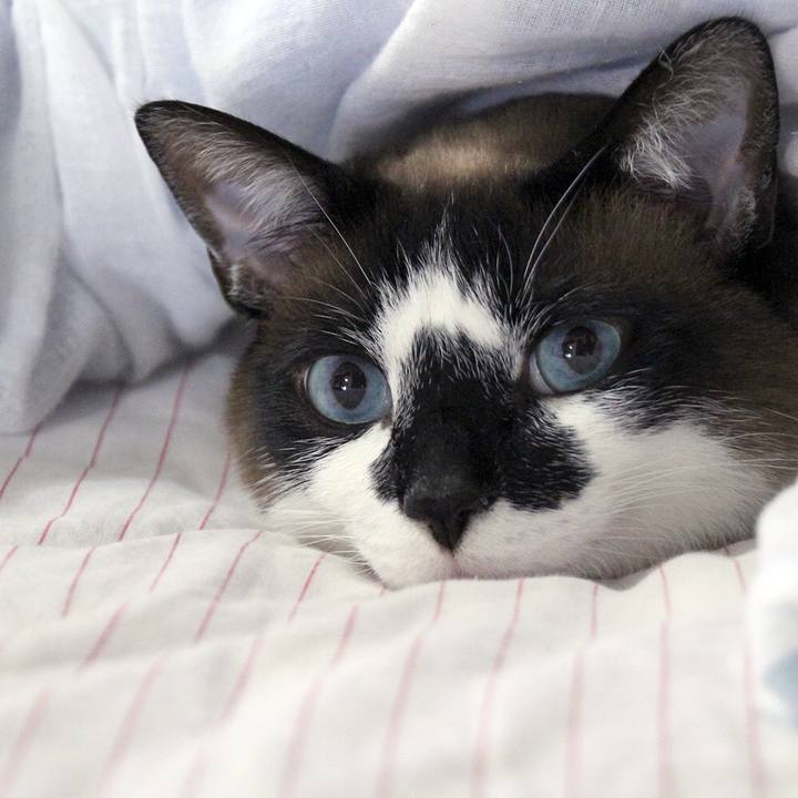 C6619cfd b764 4a24 9397 6c02002eb679