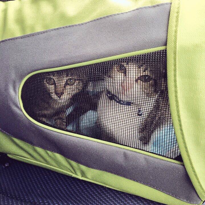 C661bd41 5ac2 433c b861 6c2e536b32c3