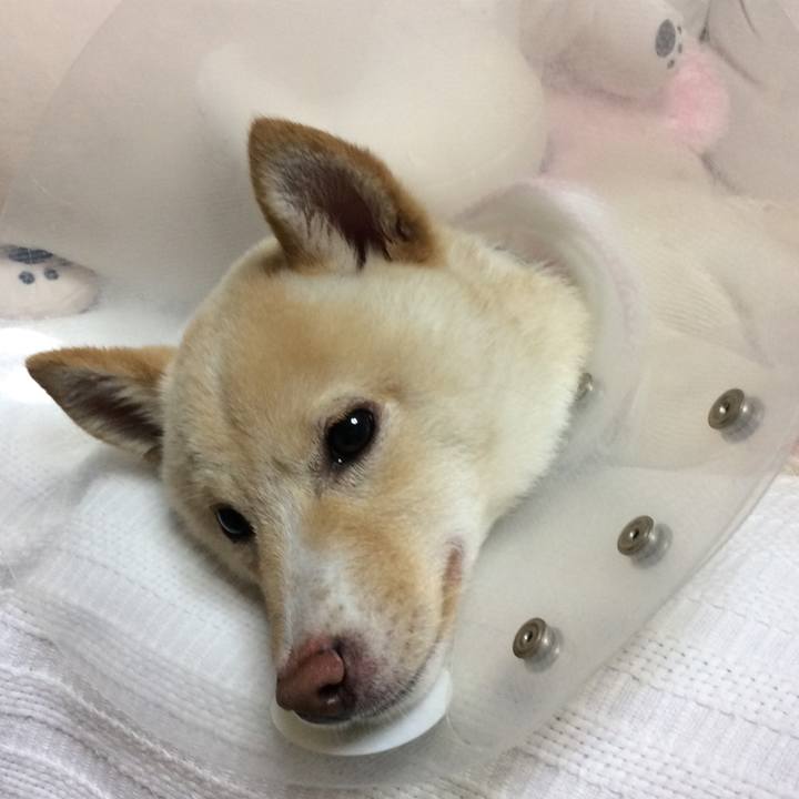 C6626b04 0cee 418e a490 dc3317dec542