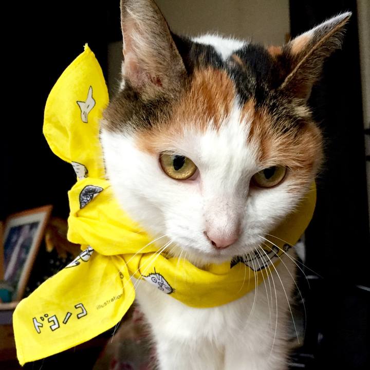 C6627a65 d82b 4ec3 99f6 f5d5f017f2c5